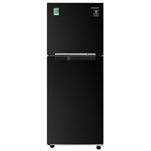 Samsung Inverter 208 lít RT20HAR8DBU/SV